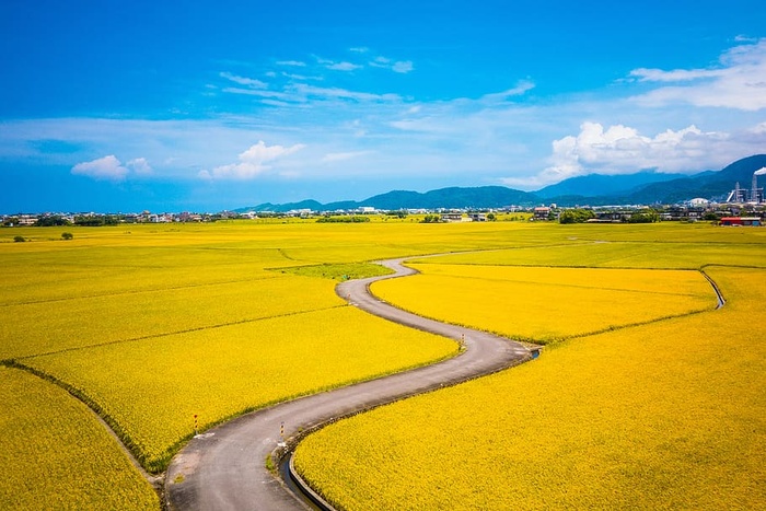 乡村、农场、田野、景观、户外、道路、乡村、风景区