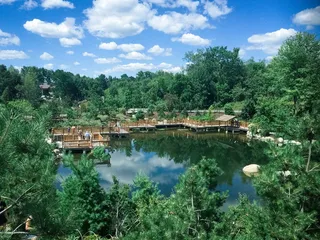 日本, 花园, 景观, 绿色, 自然, 充满活力, 生活