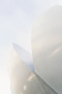 白色结构 白色结构