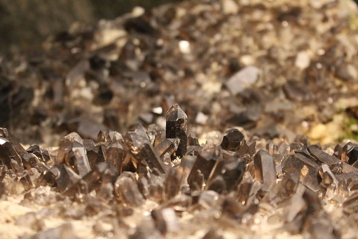 水晶、烟熏石英、宏、动物主题、动物、野生动物、选择性聚焦、野生动物
