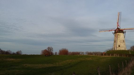 米尔，达姆，布鲁日，天空，植物，环境，云天，建筑结构