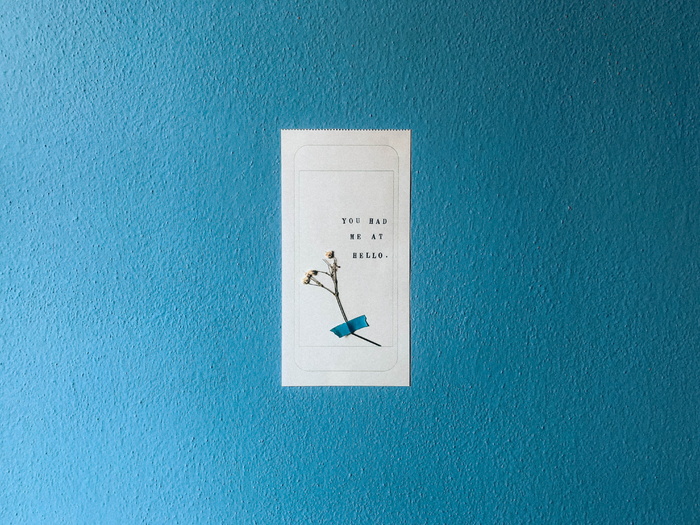 红色插花、蓝色、文字、通信、无人、室内、箭头符号、西文脚本