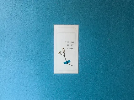 红色插花、蓝色、文字、通信、无人、室内、箭头符号、西文脚本