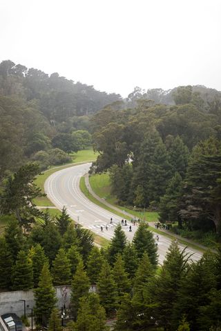 树、植物、山、高角度视图、自然、道路、白天、天空