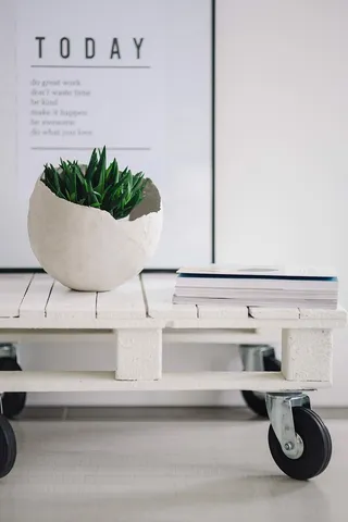 带杂志的绿色植物