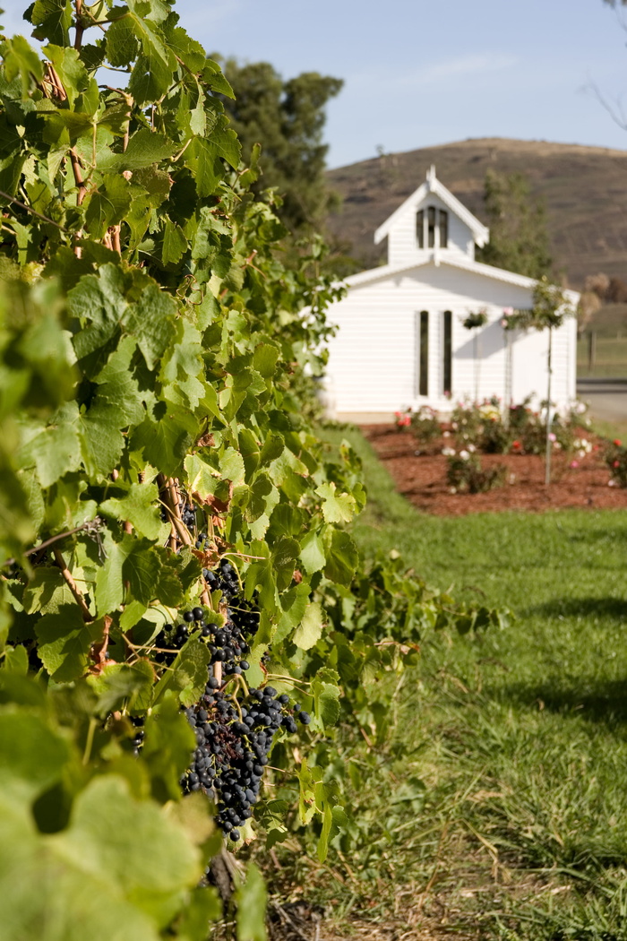 白天插花旁的白色木制小教堂