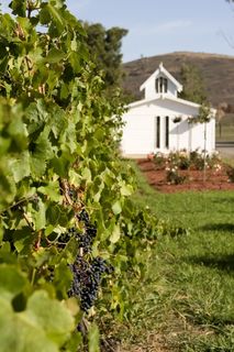 白天插花旁的白色木制小教堂