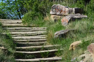 楼梯、小径、徒步旅行、荒地、北达科他州、植物、树、草