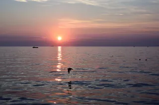 日落，的里雅斯特，海，水，意大利，宁静，夏天，天空