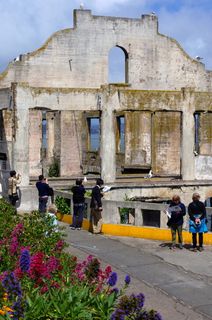 恶魔岛, 鸟, 岛, *, 海洋, 旅游, 圣, 弗朗西斯科