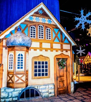 冰展览，盖洛德棕榈，冰雕，冰，展览，冬天，寒冷，艺术家