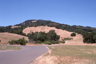 美国，肯伍德，糖面包岭州立公园，糖面包，加利福尼亚，植物，树，天空