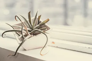 关注前景、桌子、静物、无人、特写、纸张、室内、木质材料