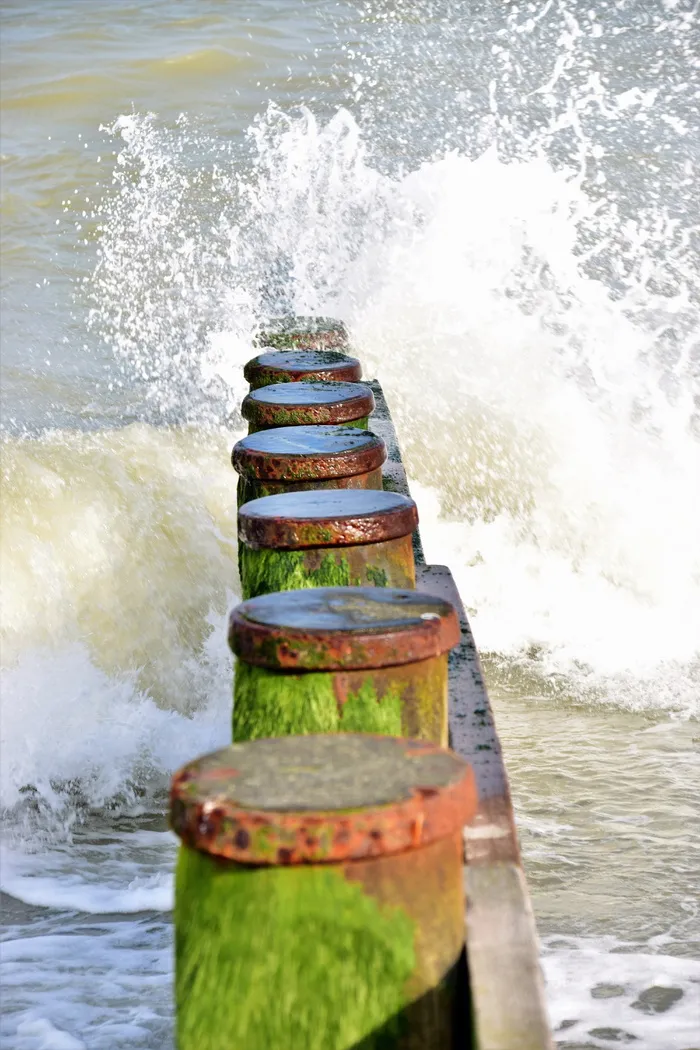 鼹鼠，水，海，海滩，海，海滩，瓶子，没有人，喝