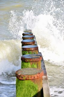 鼹鼠，水，海，海滩，海，海滩，瓶子，没有人，喝