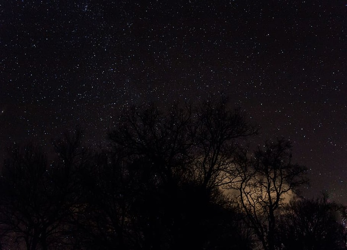 法国，普罗旺斯阿尔卑斯山，天空，太空，宇宙，夜晚，云彩，树木