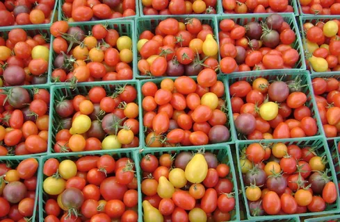 西红柿、蔬菜、杂货、商店、水果、食品、市场、红色 西红柿、蔬菜、杂货、商店、水果、食品、市场、红色
