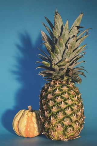 菠萝、葫芦、饺子、南瓜、南瓜、水果、食品、健康、农产品