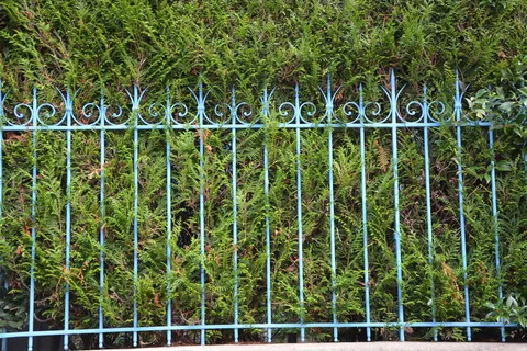 格栅，铁负载，大门，关闭，铁，树叶，绿色，屏障房屋