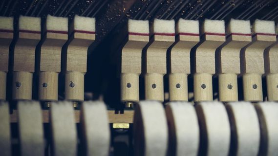 钢琴, 弦乐器, 音乐, 仪器, 乐器, 音乐家, 钢琴家, 声音