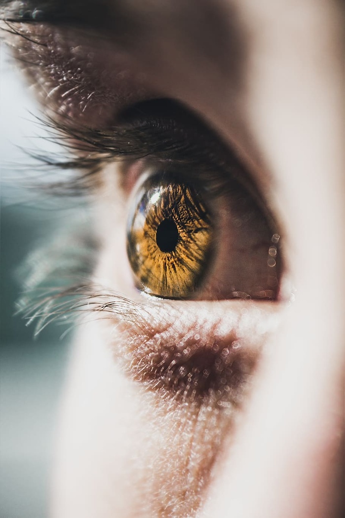 人眼特写照片