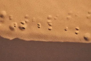 棕色和黑色区域地毯