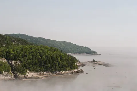 加拿大塔杜萨克,圣劳伦斯,海湾,海滩,岩石,树木,魁北克 加拿大塔杜萨克,圣劳伦斯,海湾,海滩,岩石,树木,魁北克