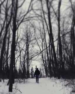 人,在下面,森林,人,行走,雪,附近,树 人,在下面,森林,人,行走,雪,附近,树