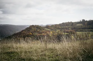 绿色，草地，白色，云，白天，秋天，美丽，美丽