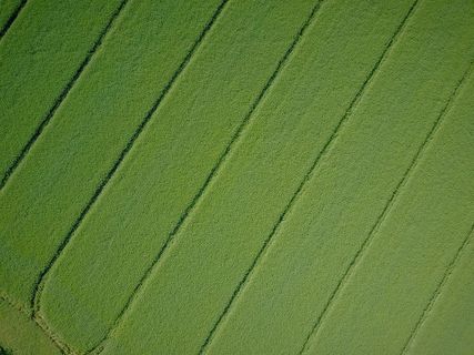 一大片区域的鸟瞰图