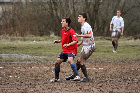 足球，足球，脚，运动，球，场，球员，草地