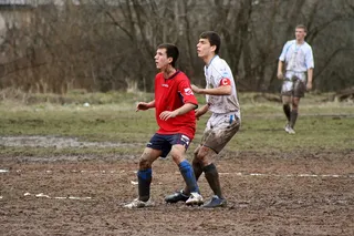 足球，足球，脚，运动，球，场，球员，草地