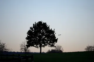 日落、树木、飞机、景观、天空、自然、黄昏、黄昏