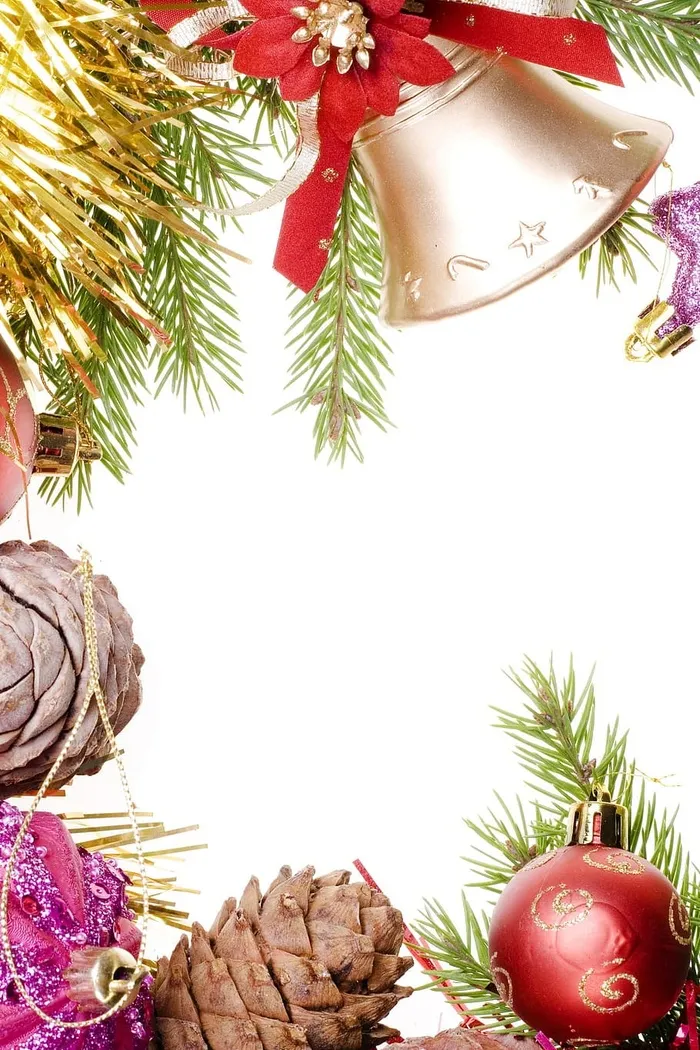 庆祝活动，圣诞节，针叶树，针叶树，装饰，装饰，冷杉，框架