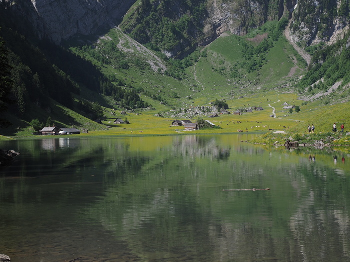 柏格西，seealpsee，山，高山，水，风景-自然，自然之美，反射