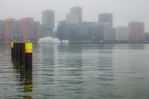鹿特丹、瑞恩黑文、水、系泊、建筑、景观、雾、建筑外部