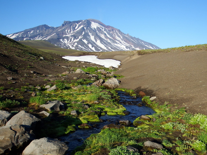 火山、山脚、鲜花、山脉、风景、自然、旅程、堪察加半岛