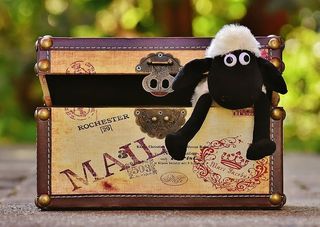 羊，箱子，盒子，搞笑，动物，软玩具，填充动物，玩具