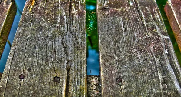 墙纸，湖水，沉默，色彩，温柔，休息，桥梁，木质材料