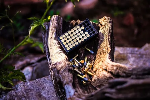 子弹的照片，箱子在木箱顶上