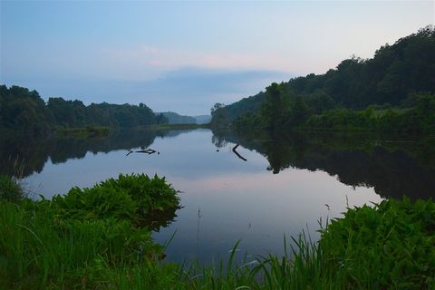 湖, 日落, 水, 景观, 天空, 自然, 树木, 绿色