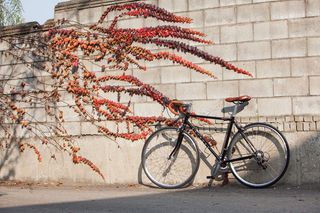 公路自行车，自行车，微笑，公路，微笑自行车，阿斯特罗是微笑，阿斯特罗，秋天