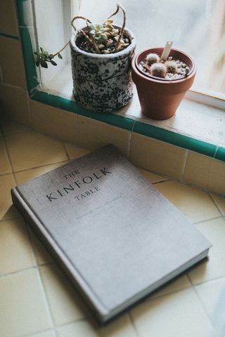 仙人掌植物附近的亲属餐桌