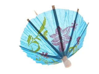 椰子、伞、孤立、棒状、热带、白色、短尾