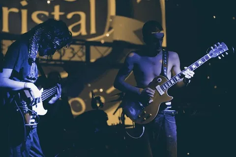乐队，特写，音乐会，能源，娱乐，节日，吉他，吉他手