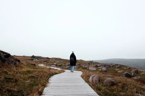 加拿大、斯皮尔角、nf、cape、path、person、northern、newfoundland、grass