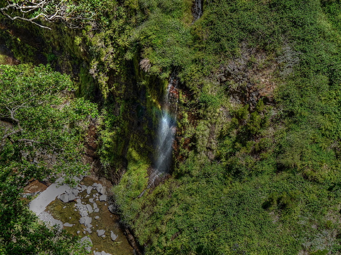 马德拉，徒步旅行，山脉，岩石，圣波尔图，岛屿，葡萄牙，小径
