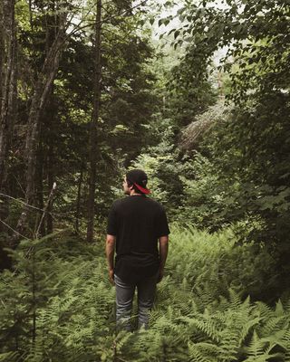 加拿大、elsipogtog第一民族、加拿大新不伦瑞克、格林、佳能、伍兹、雷克斯顿