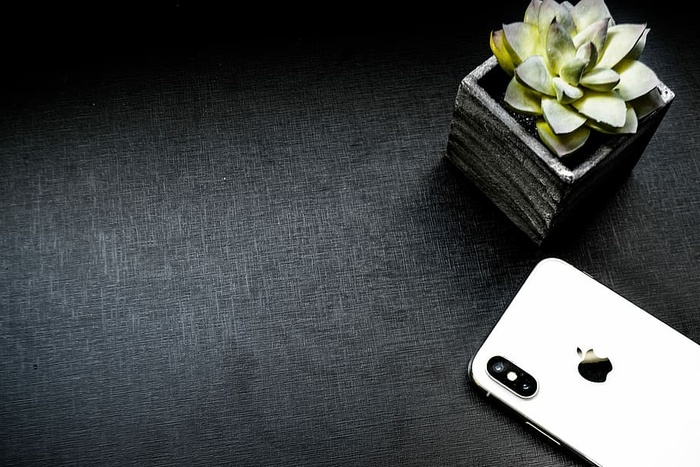 银色iphone x，旁边，肉质，植物盆栽，桌子，iphone，手机，iphone x