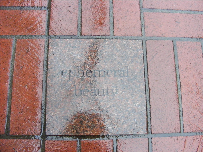 美国，波特兰，砖，短语，雨，人行道，波特兰俄勒冈州，引用